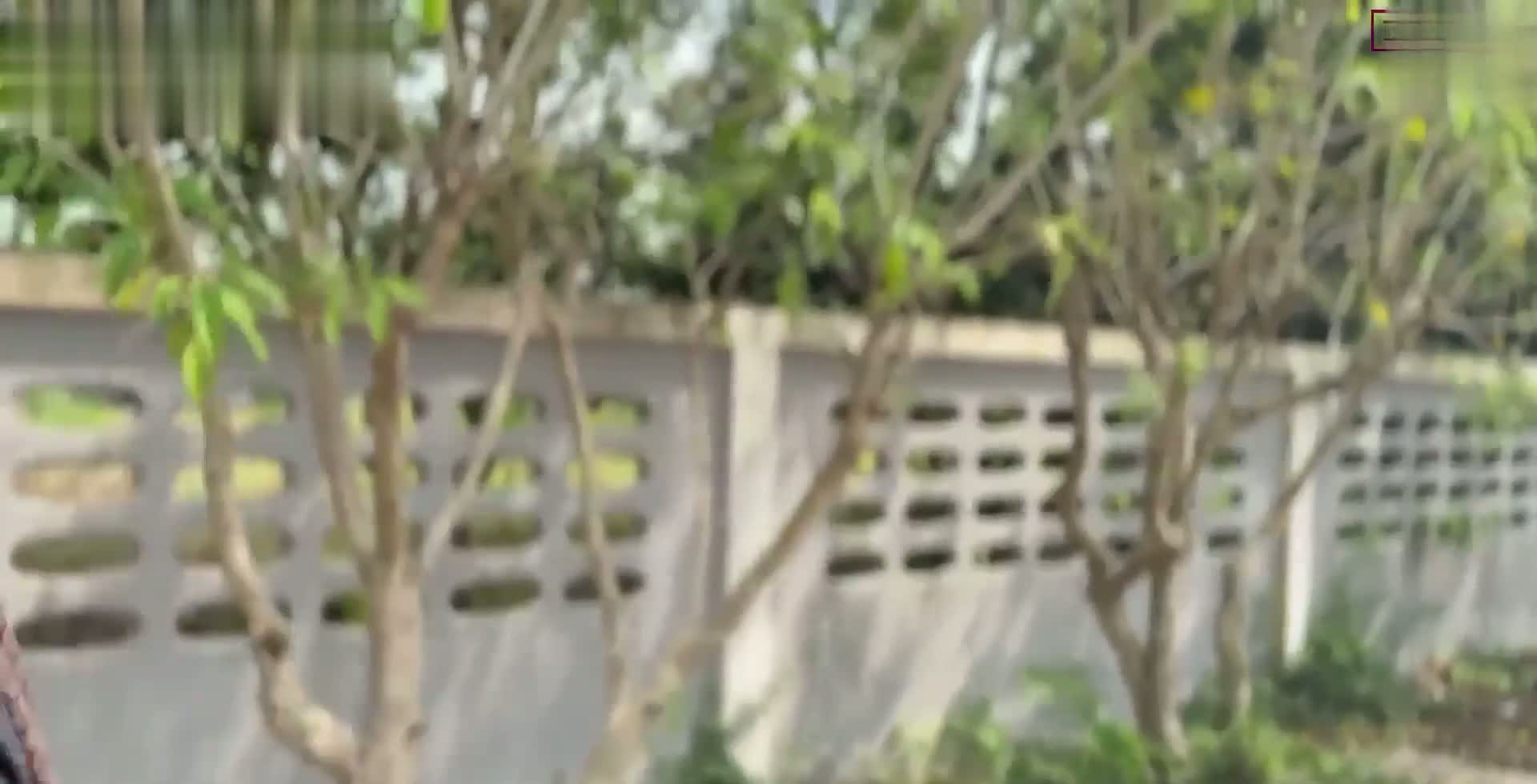 Lanet Kel Özel Porno HD